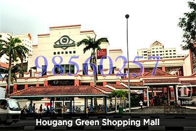 Blk 563 Hougang Street 51 (Hougang), HDB Executive #135200002